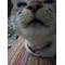 [V:462C][V:462E]俺[V:4752]家族[V:462C]