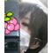 **　菊池瘤登ＦＣ