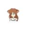 にゃんこ通信