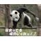 ﾊﾞｧｻﾝが村を救う