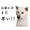 (*´3`*)ノ[A:F7B2]