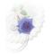 ☆Blue Rose☆