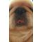 ([D:F9CC][D:F991]з[D:F991])[D:F9CC][D:F9AF]・