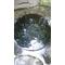 [D:F99F]Ｉ[D:F8EE]В∂Вч[D:F99F]